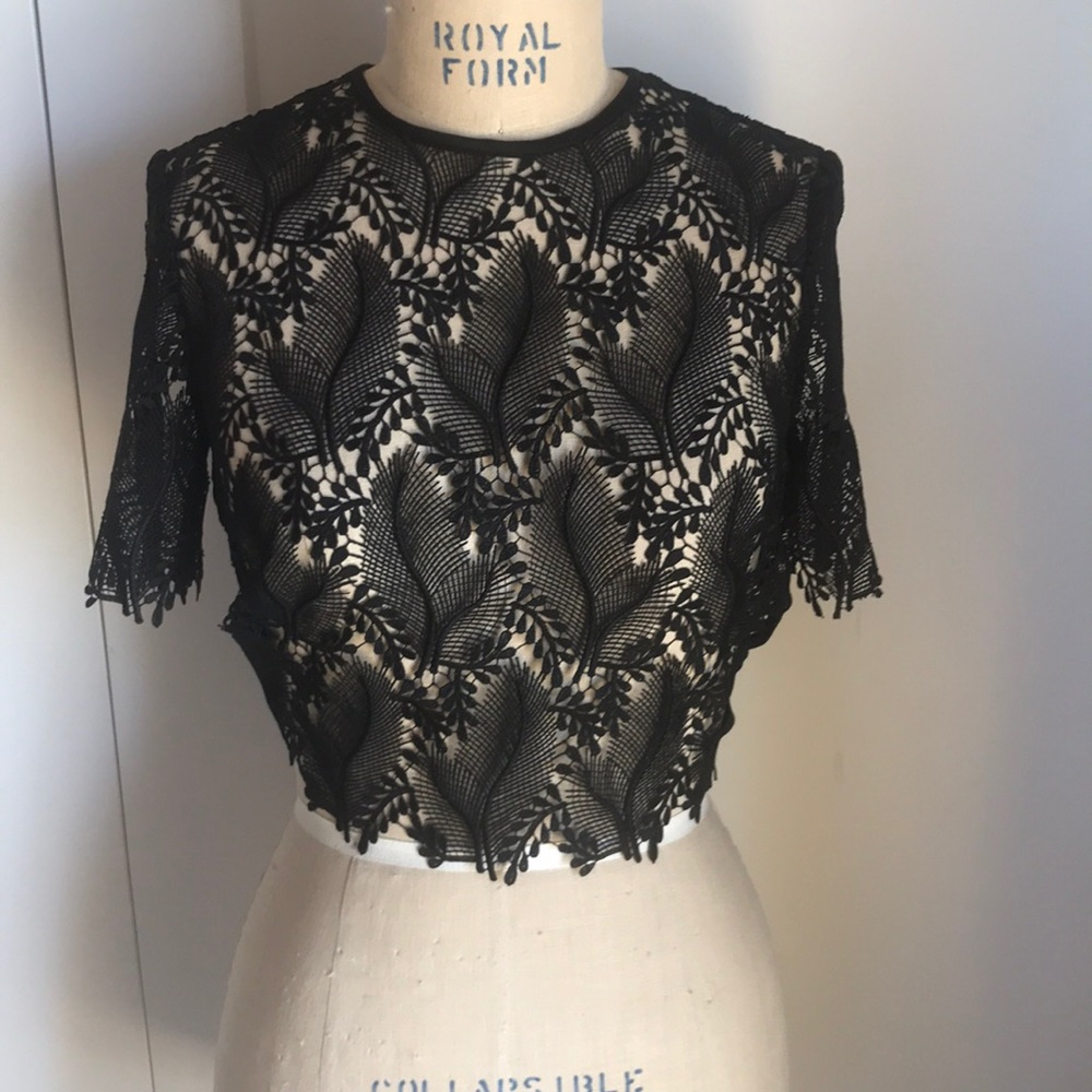 DVF cropped top